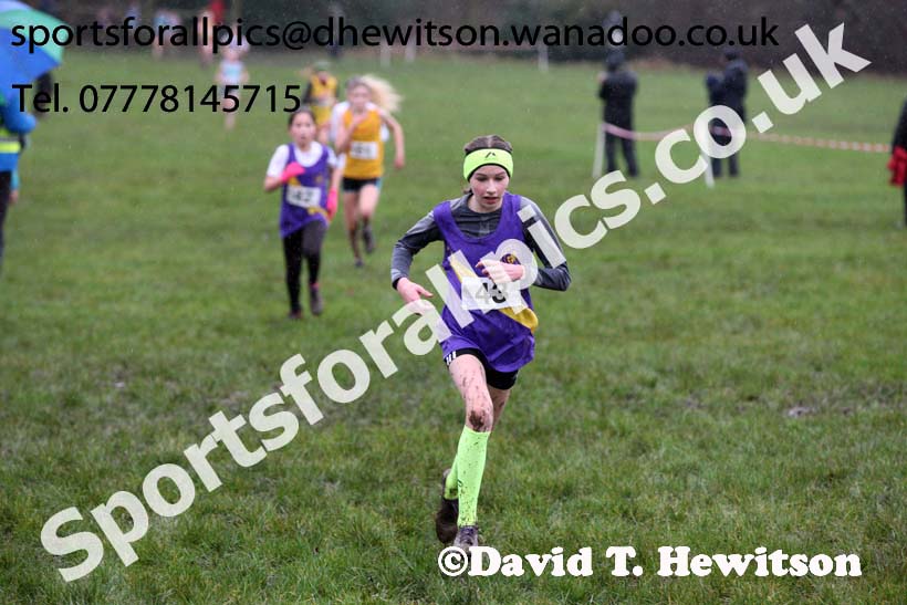 Minor girls Northern Inter Counties Schools Cross Country, Stockton. Photo: David T. Hewitson/Sports for All Pics